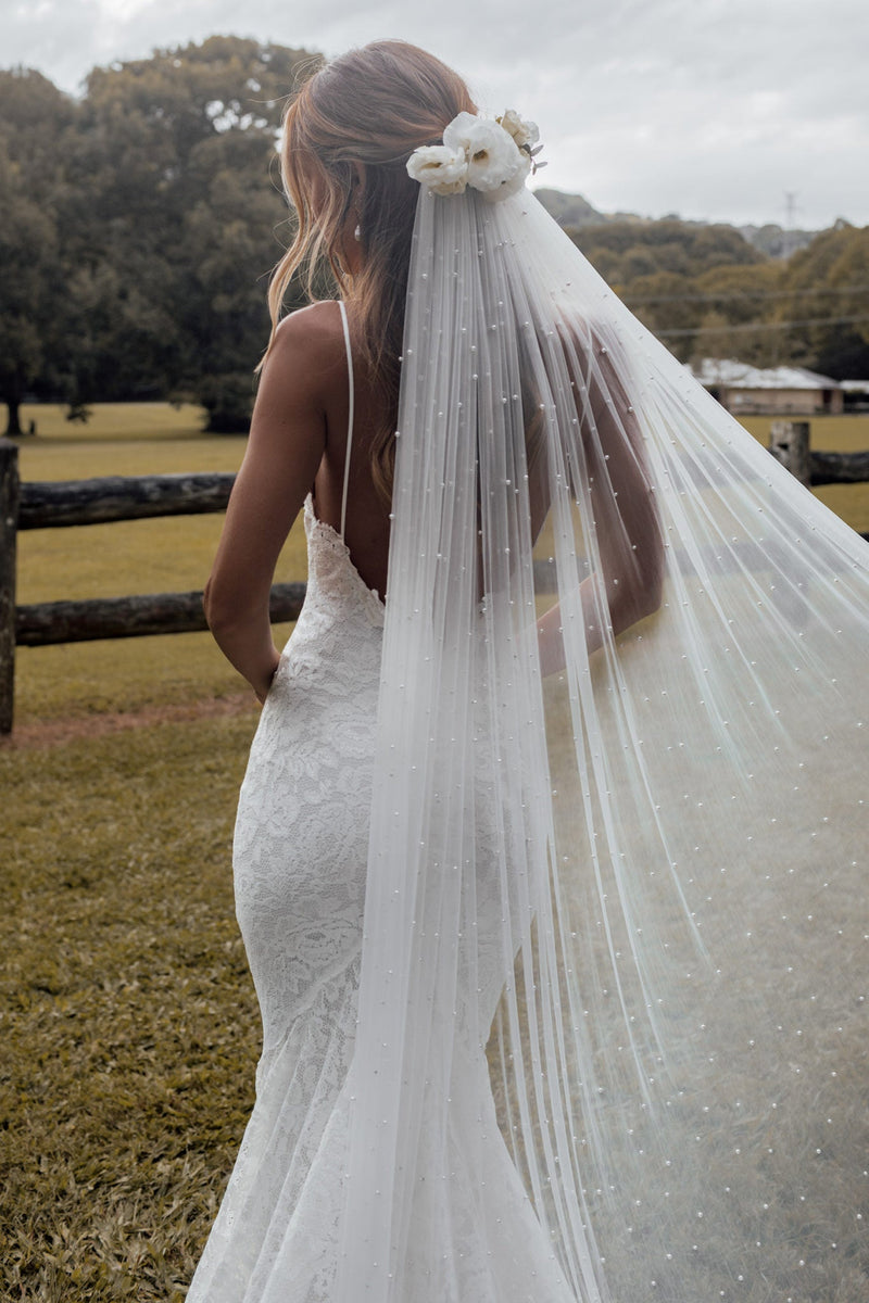 Plain wedding dress with lace veil best sale