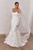 Sheer Drop Wedding Veil paired with lace wedding dress and bridal sleeves