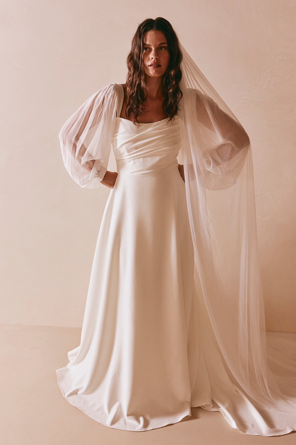 wedding veil and a-line wedding dress